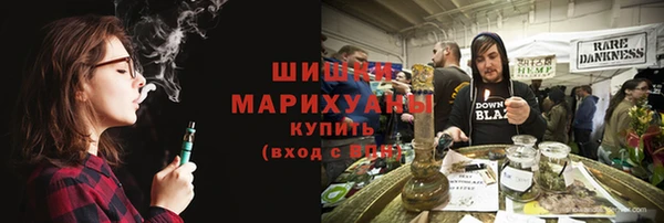 бошки Горняк