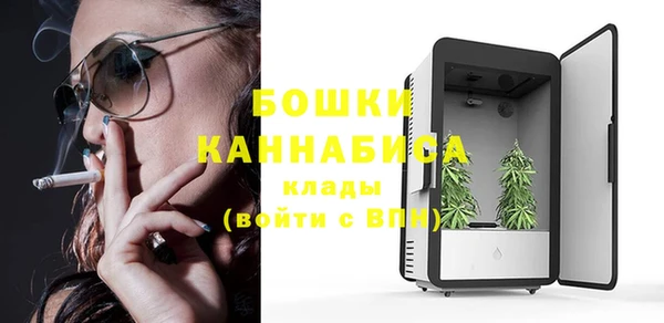 сатива Горнозаводск
