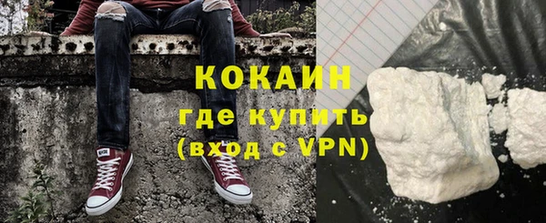 бошки Горняк