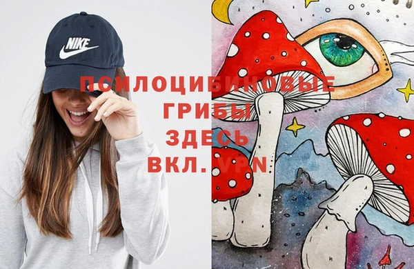 бошки Горняк