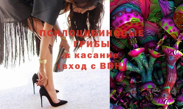 бошки Горняк