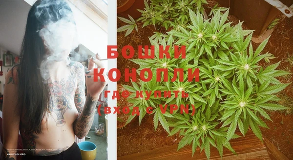 бошки Горняк