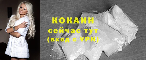 бошки Горняк