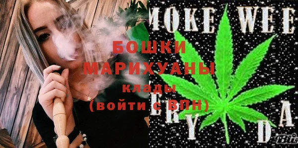 сатива Горнозаводск