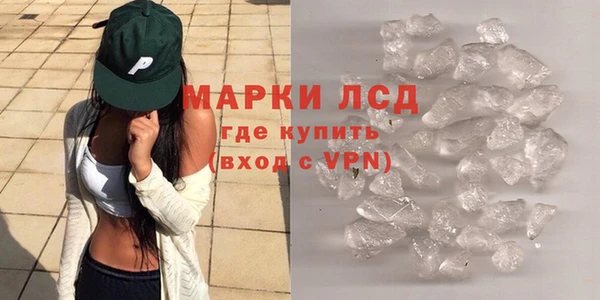 сатива Горнозаводск