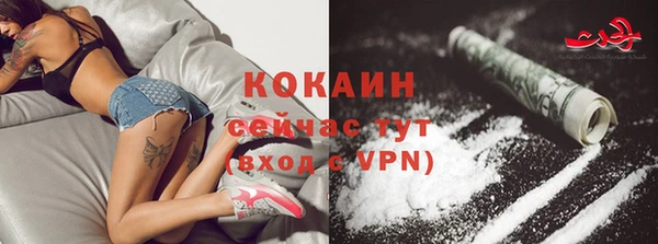 сатива Горнозаводск